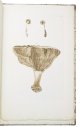 AFZELIUS, Adam and Elias FRIES (editor)., Reliquiae Afzelianae, sistentes icones fungorum, quos in Guinea collegit et in aere incisas exudi curavit Adamus Afzelius.Uppsala, Edquist & soc., 1860. Folio (ca. 40 x 25 cm). With 12 full-page (sepia-toned) aquatint plates of mushrooms.  Modern half brown morocco, marbled paper sides.