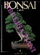 -, Bonsai & news. Periodico d'informazione del'arte bonsai.