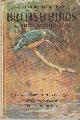 VESEY-FITZGERALD, BRIAN AND ALLEN W. SEABY, British Birds and Their Nests
