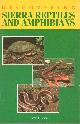Basey, H.E., Discovering Sierra Reptiles and Amphibians