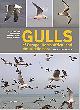 Adriaens, P.; Muuse, M.; Dubois, P.J.; Jiguet, F., Gulls of Europe, North Africa, and the Middle East: An Identification Guide