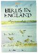 Brown, A.; Grice, P., Birds in England